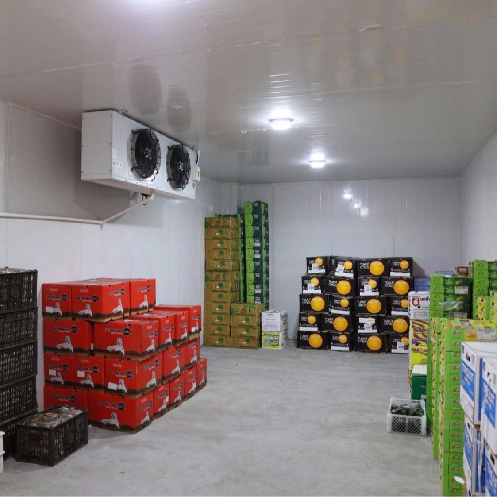 建造一个50立方米的冷库大概需要多少钱？